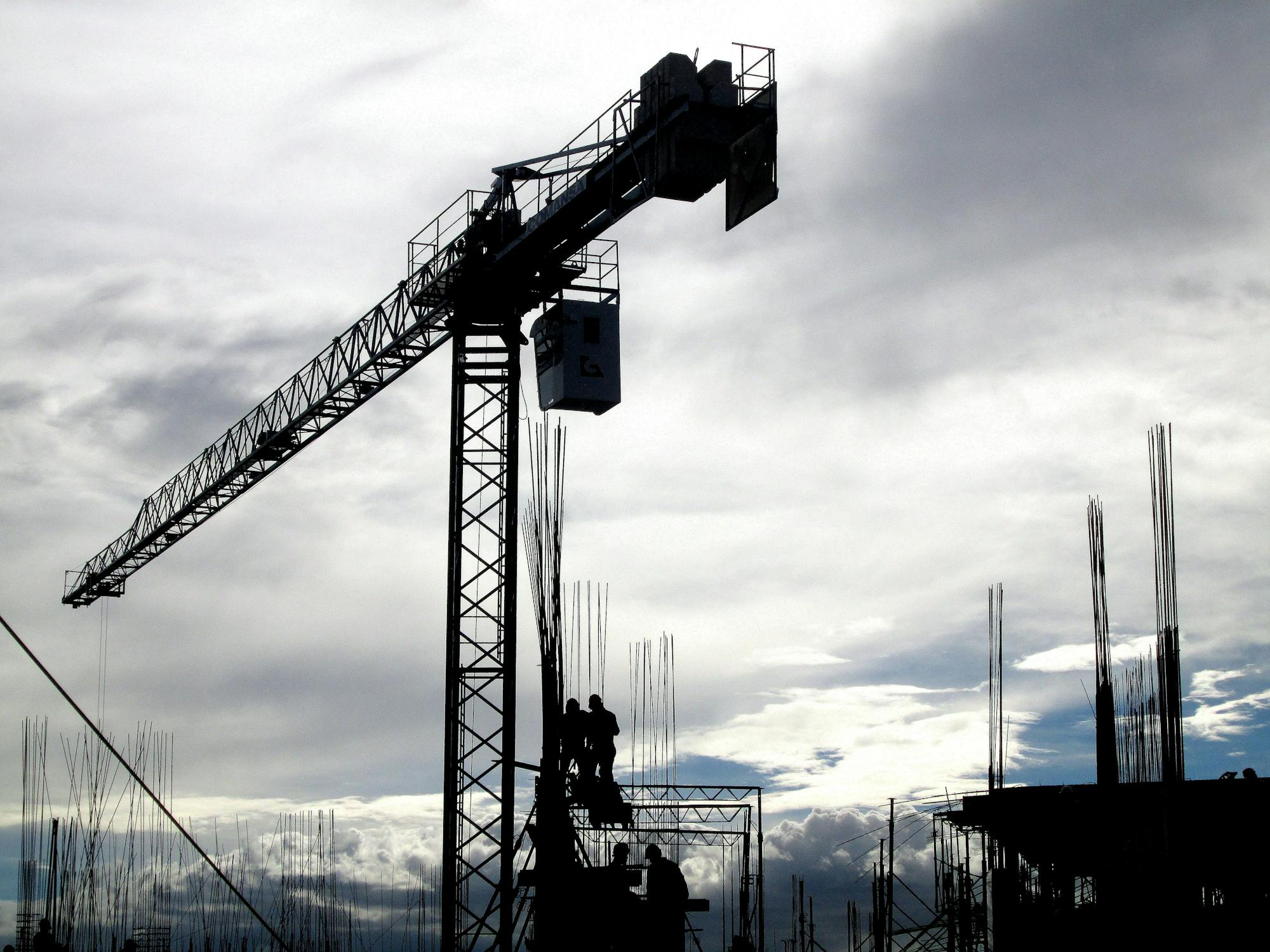 crane